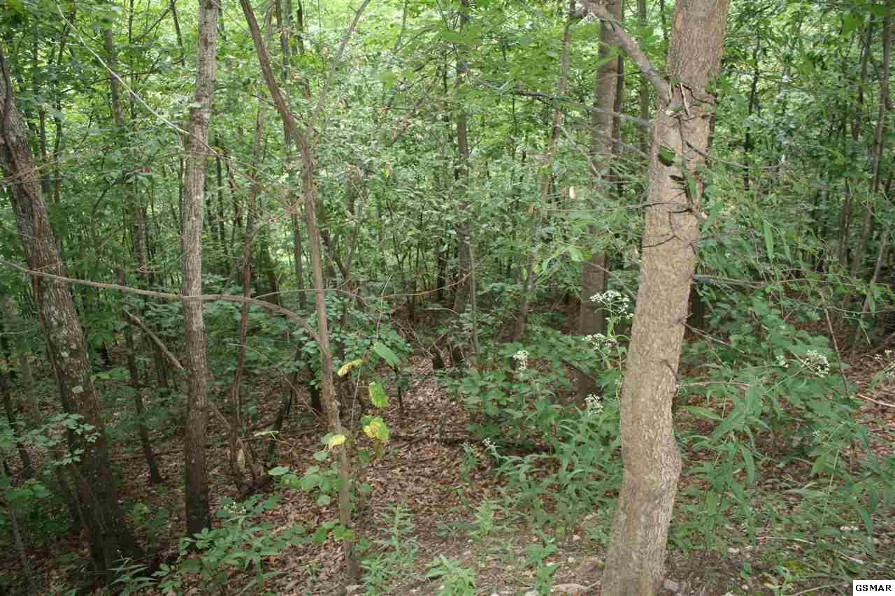 0 Shell Mountain Road Sevierville, TN 37876 - Photo 10 of 26 Gallery Image 10