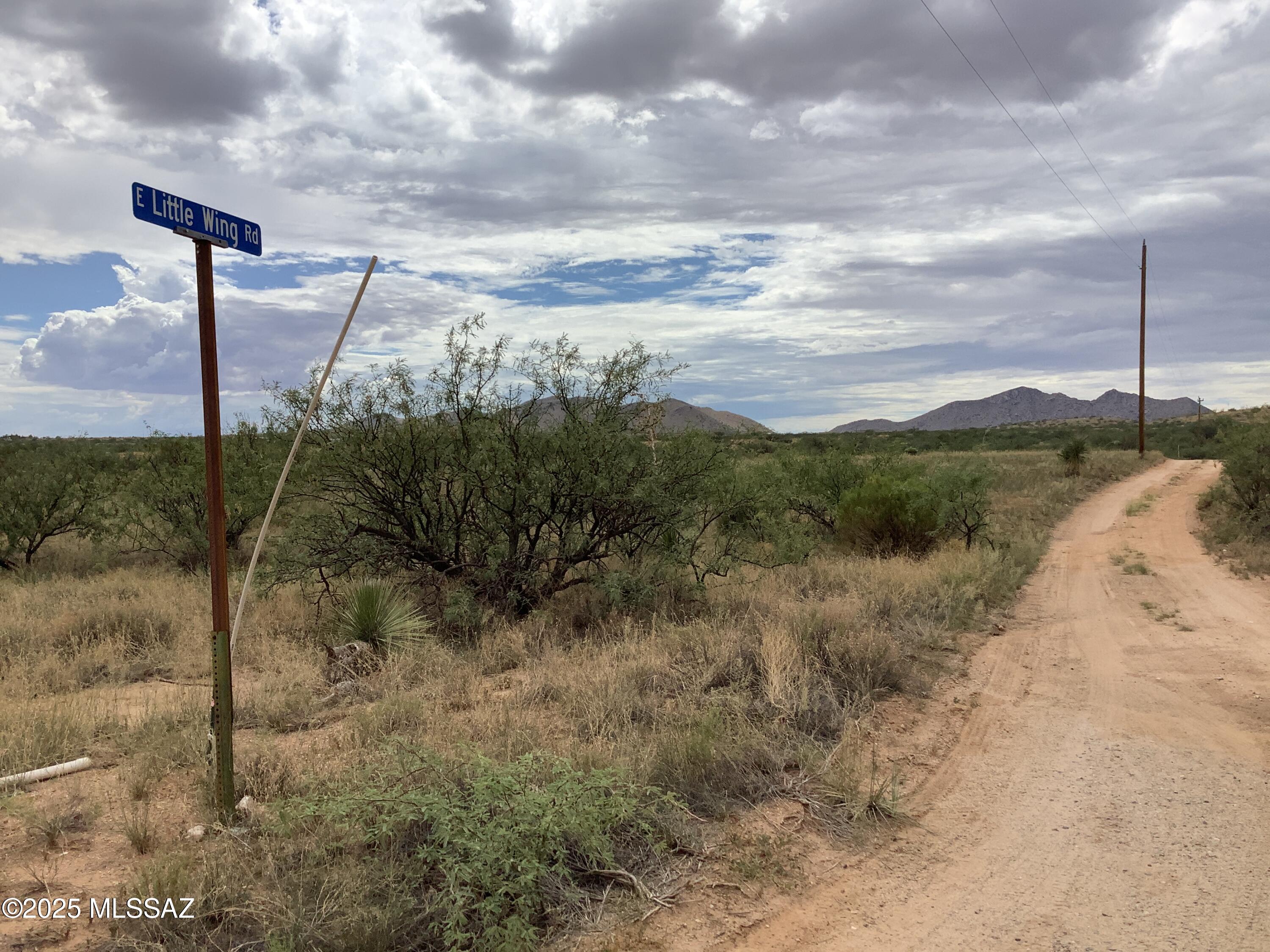 4.00-ac North Johnson Road Dragoon, AZ 85609 - Photo 2 of 31 Corner Johnson Road and E Little Wing Road