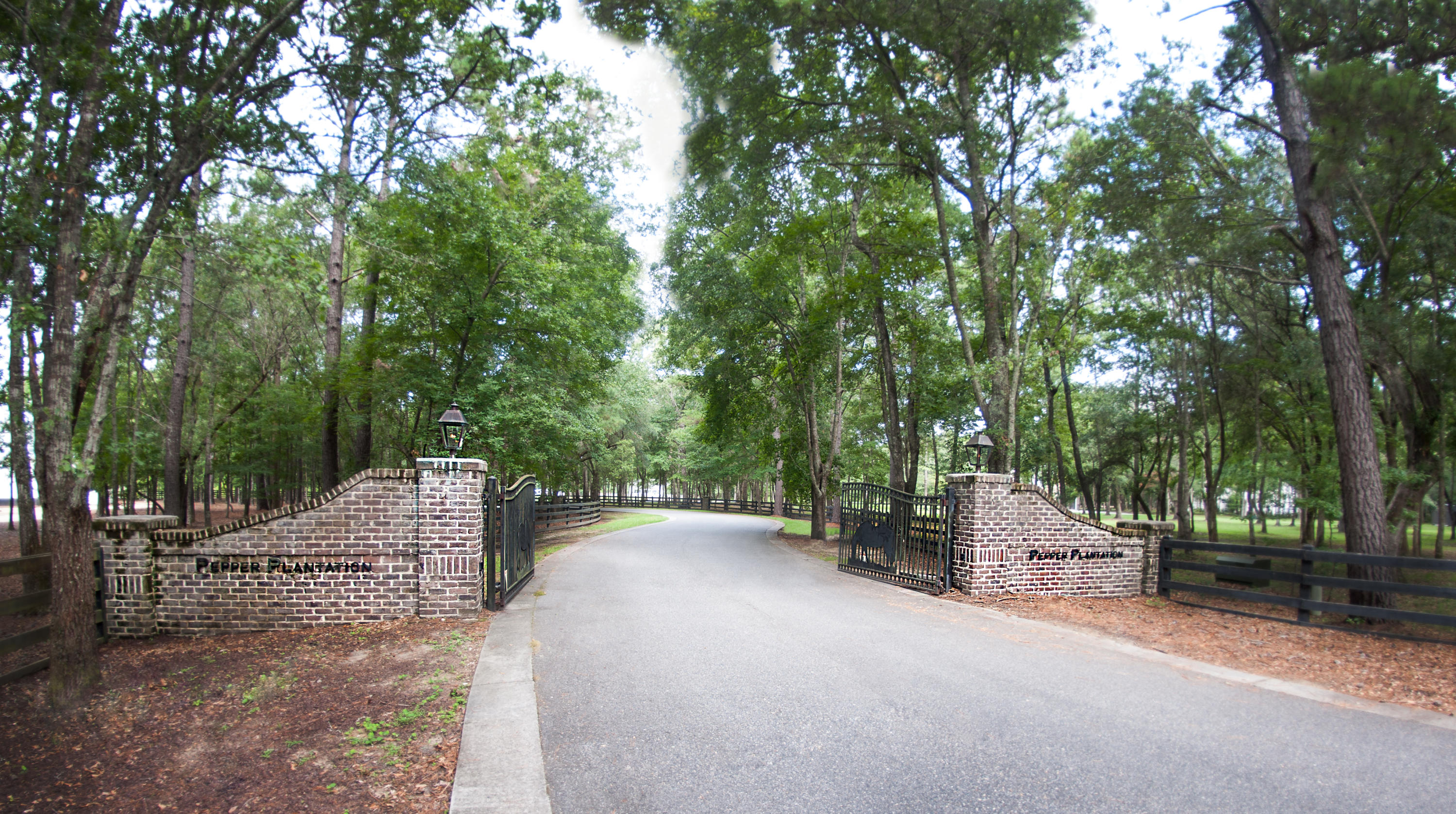 1145 Chandler Road Awendaw, SC 29429 - Photo 3 of 5 PEPPER PLANTATION-9066