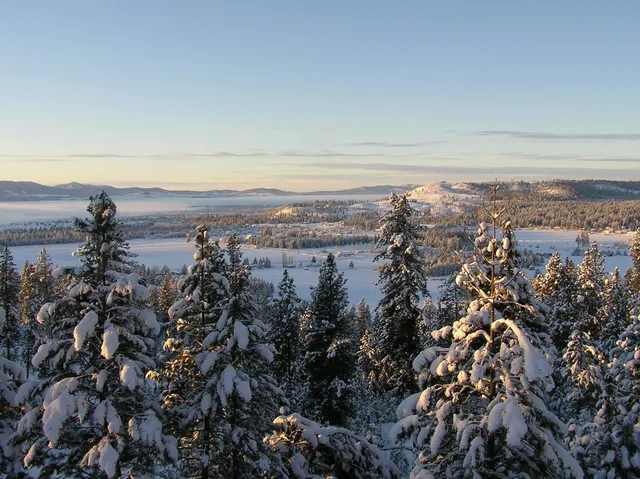 $1,199,000 | 10309 North Lookout View Lane, Newman Lake, WA 99025