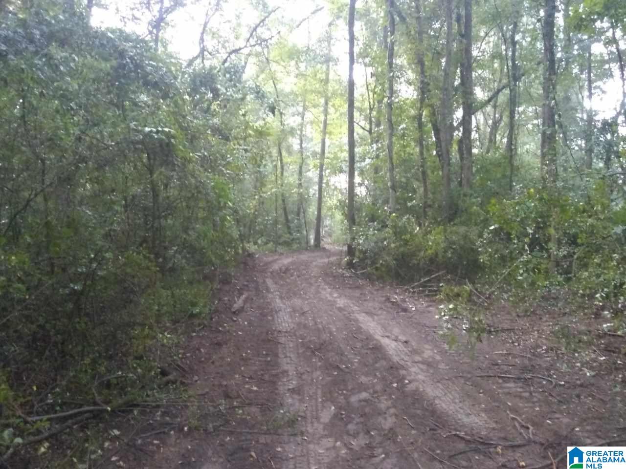 0 Highway 25 Vincent, AL 35178 - Photo 2 of 5
