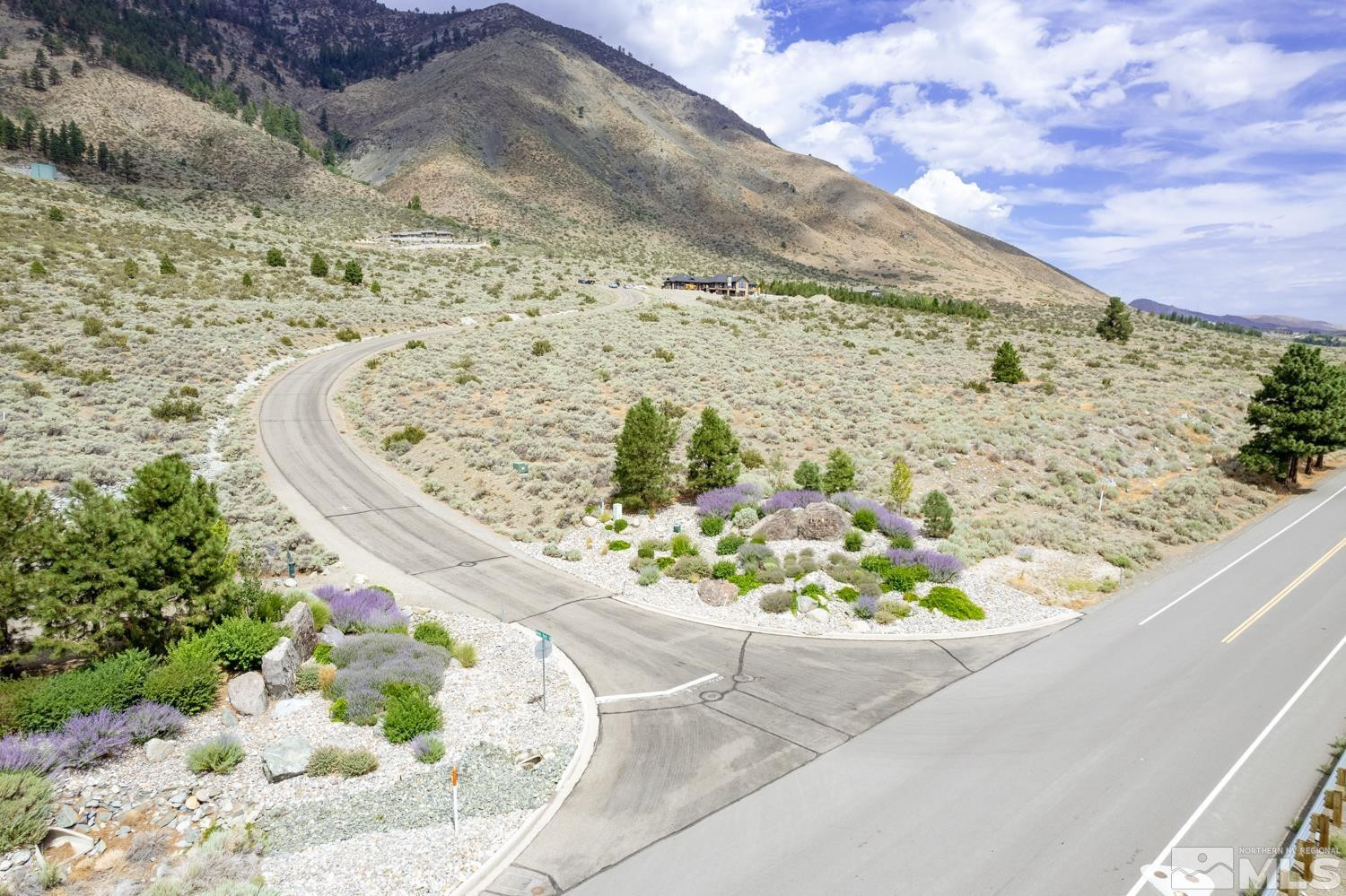 2533 Eagle Ridge Road, Unit 40 Genoa, NV 89411 - Photo 20 of 39 a view of a garden with a pathway