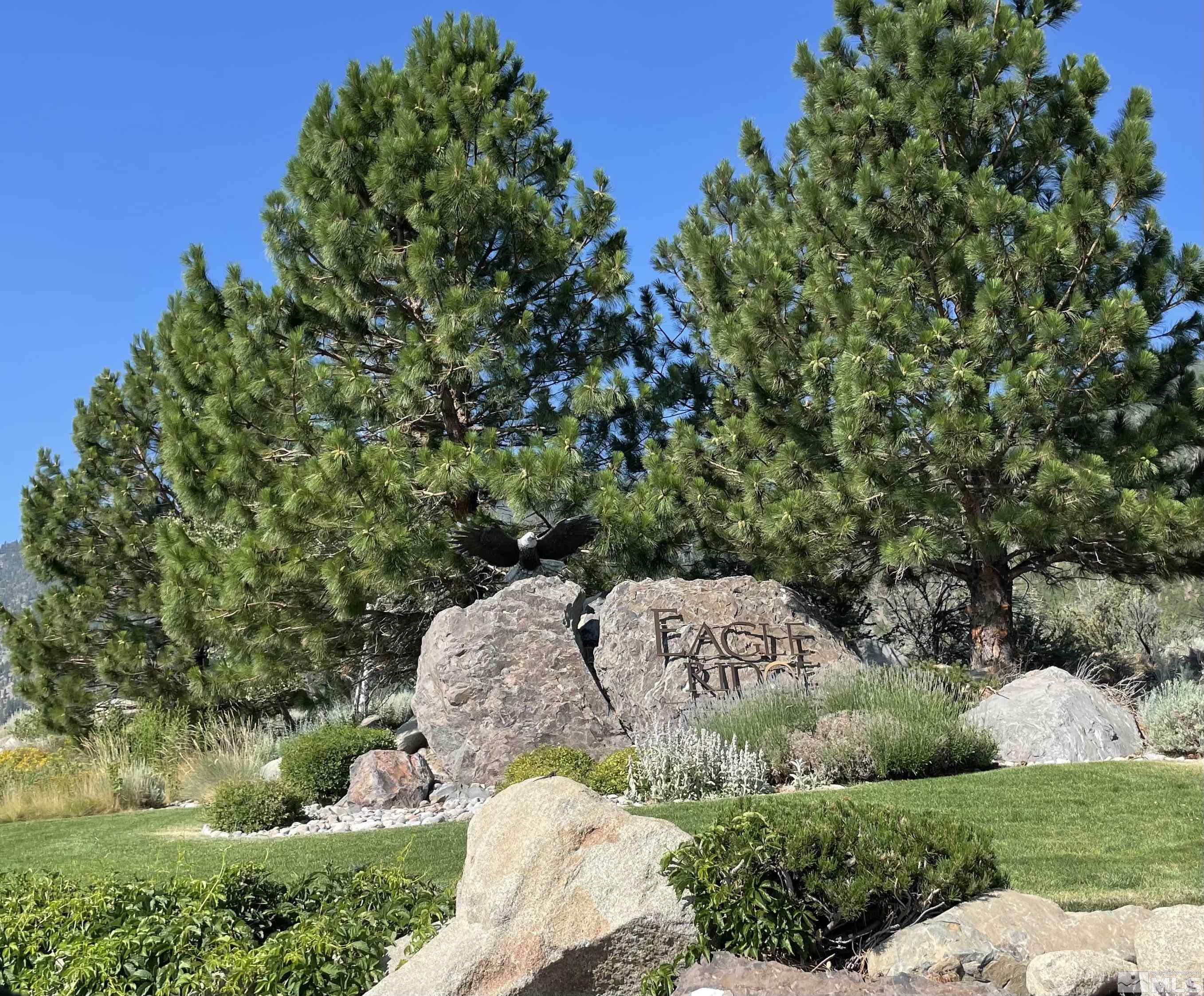 2533 Eagle Ridge Road, Unit 40 Genoa, NV 89411 - Photo 38 of 39 a view of a street with a tree in the background