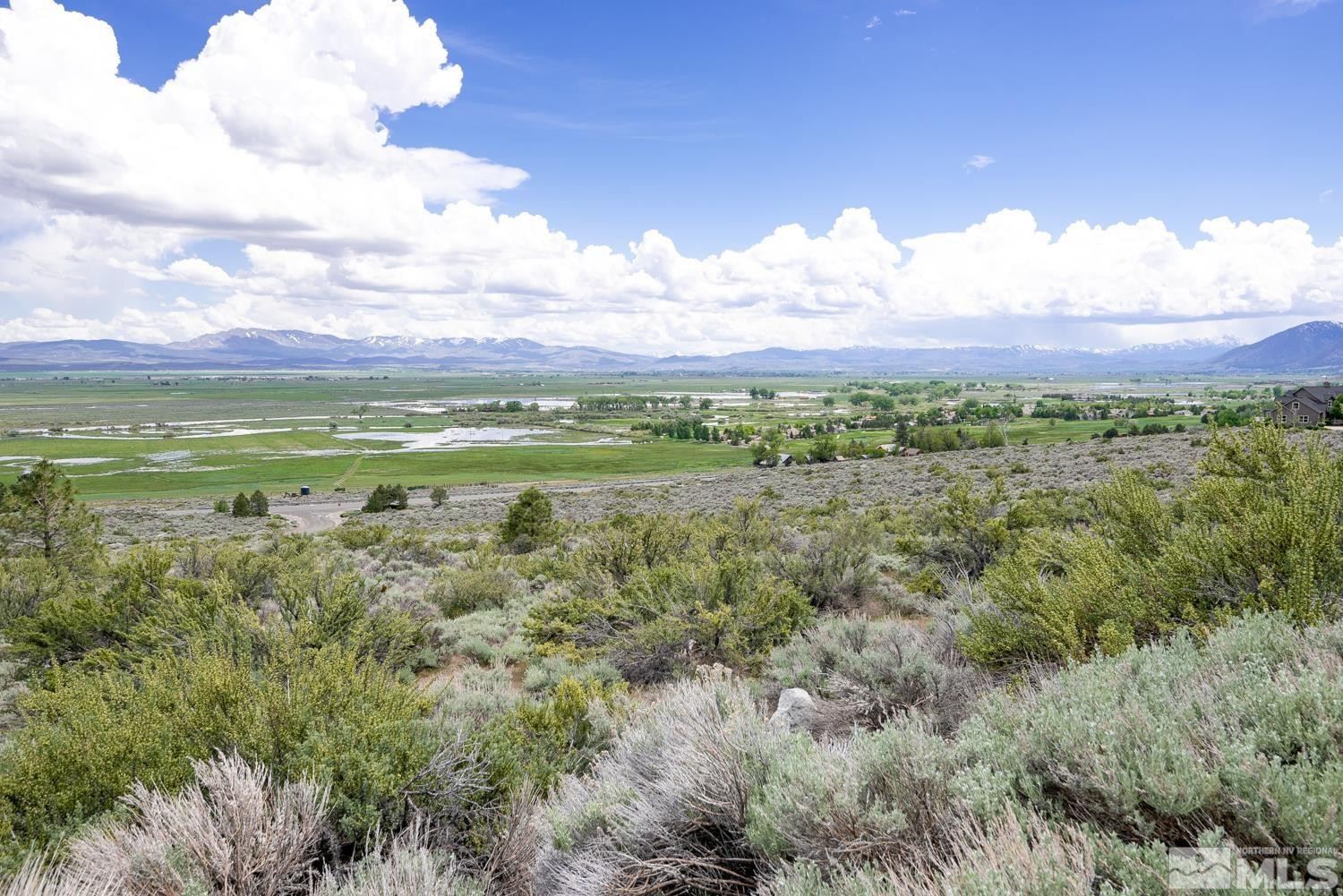 2533 Eagle Ridge Road, Unit 40 Genoa, NV 89411 - Photo 7 of 39 a view of a city with lots of trees