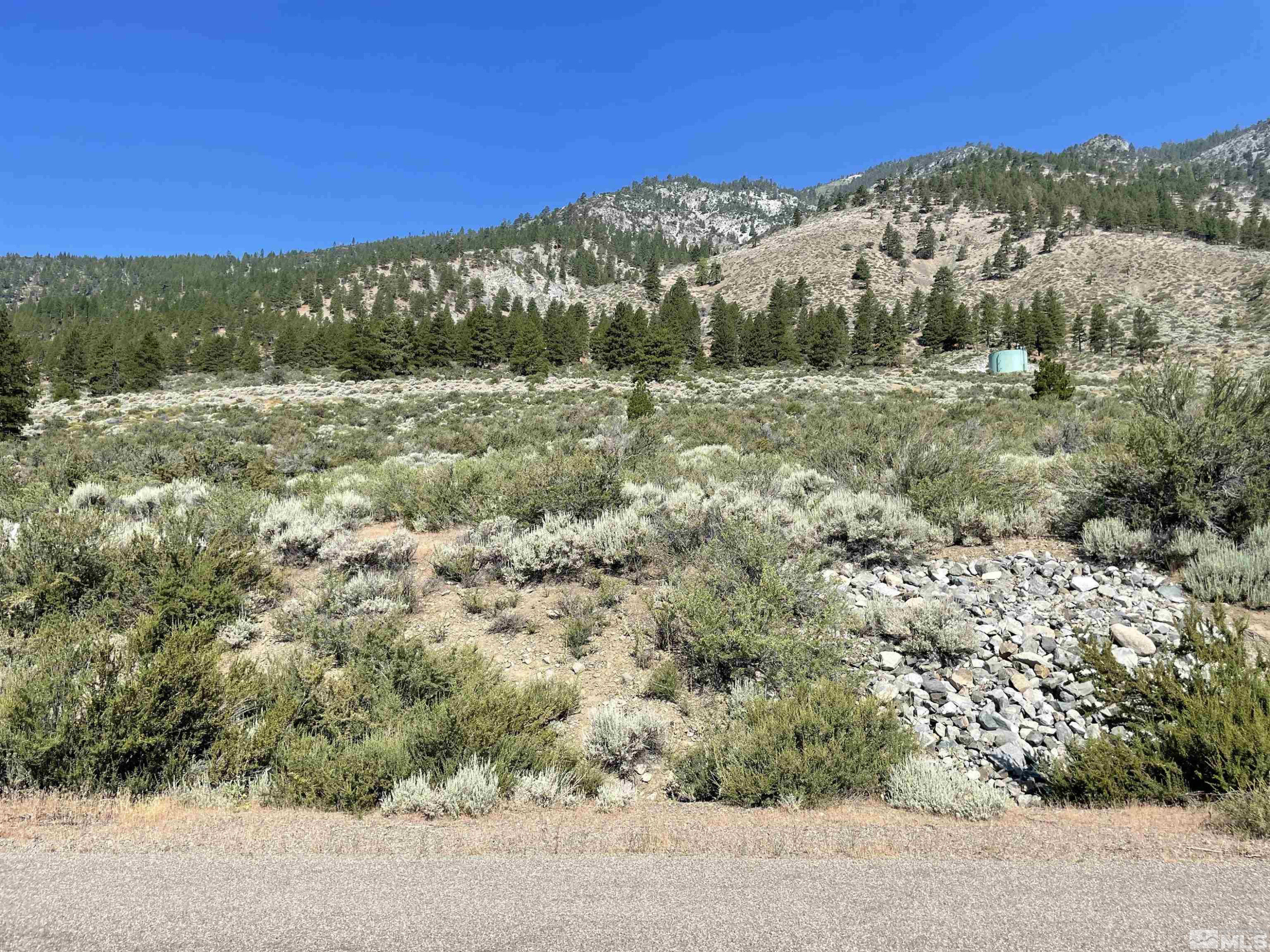 2533 Eagle Ridge Road, Unit 40 Genoa, NV 89411 - Photo 9 of 39 a view of mountain view with mountains in the background