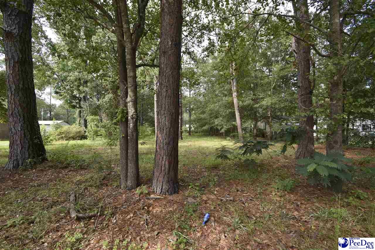 Tbd Tbd Springvalley Drive Florence, SC 29501 - Photo 1 of 1 Gallery Image 1