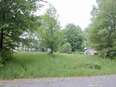 19 Hillside Drive Three Rivers, MI 49093 - Photo 1 of 1 Primary Photo