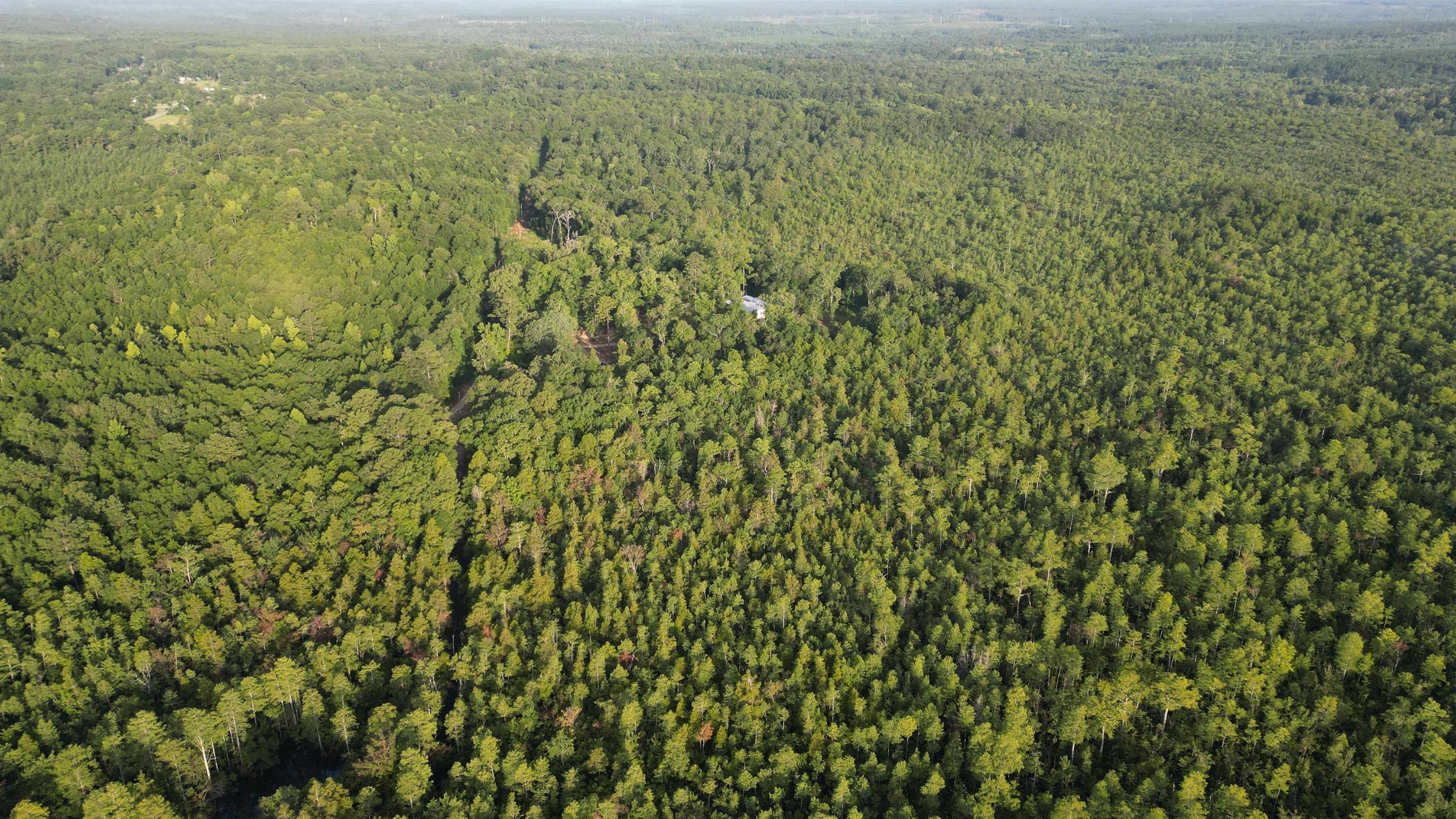 1050 Cedar Creek Landing Road Mount Vernon, AL 36560 - Photo 9 of 59 Aerial View