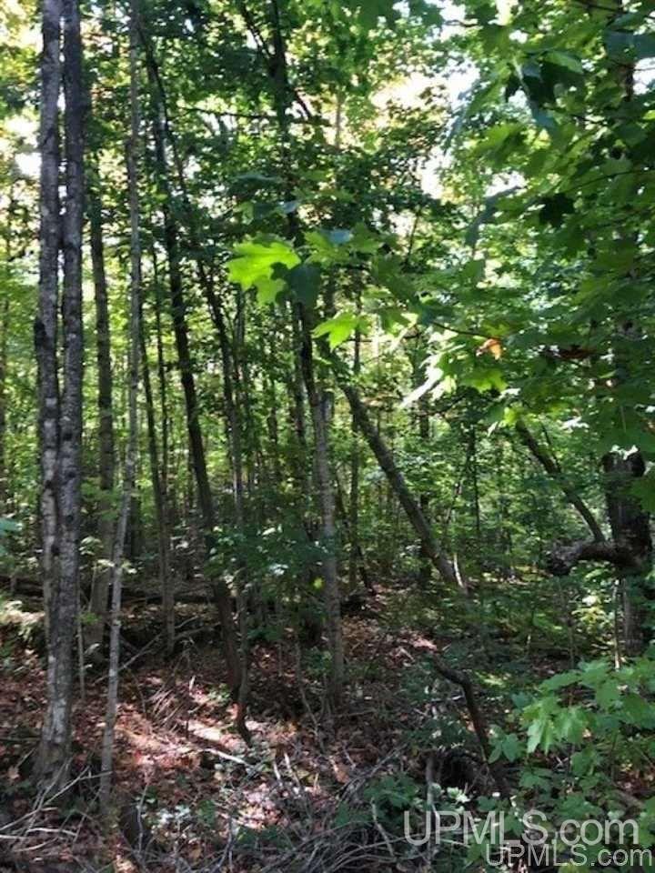 Tbd Koski Road Munising, MI 49862 - Photo 12 of 17