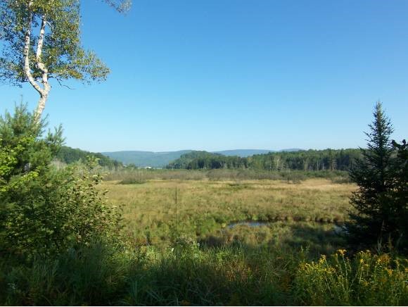 Gage Road Irasburg, VT 05845 - Photo 1 of 1 Gallery Image 1