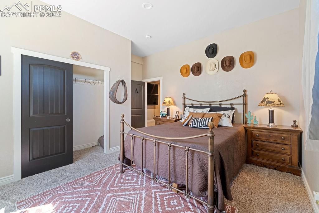 8450 Edison Road Yoder, CO 80864 - Photo 19 of 50 Bedroom featuring light carpet and a closet