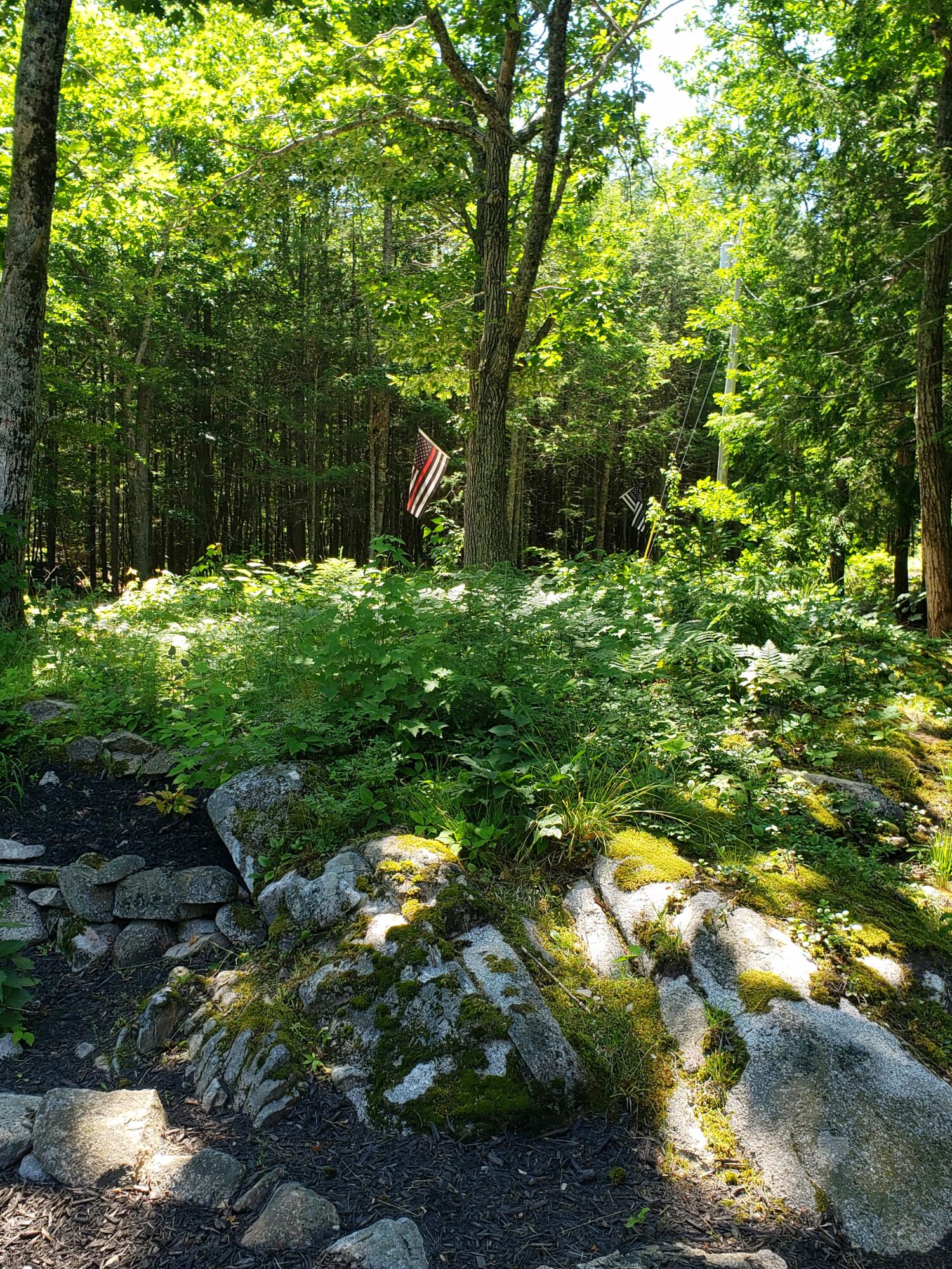 82 Old Cluff Road Kennebunkport, ME 04046 - Photo 4 of 92 20240704_123209