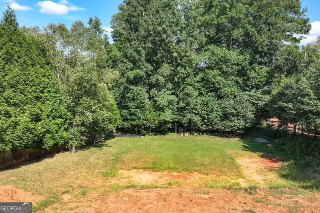 a view of a garden with a chair