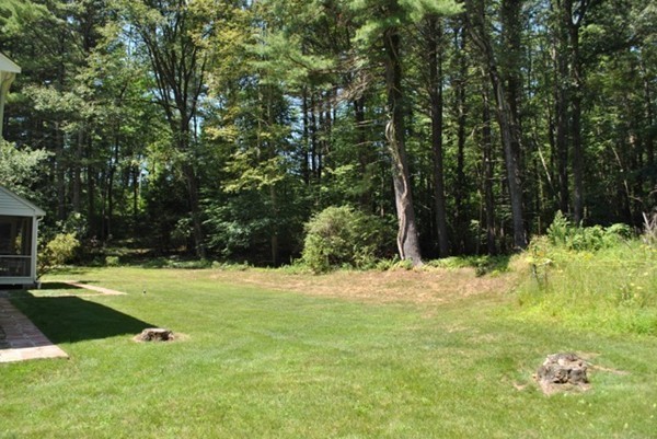 54 Judy Farm Road Carlisle, MA 01741 - Photo 17 of 17 a view of a yard with plants