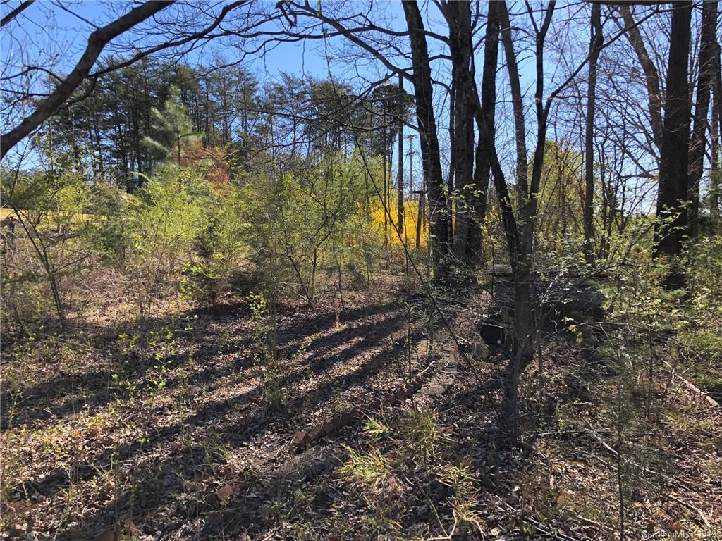 4689 Highway 9 Mill Spring, NC 28756 - Photo 3 of 4