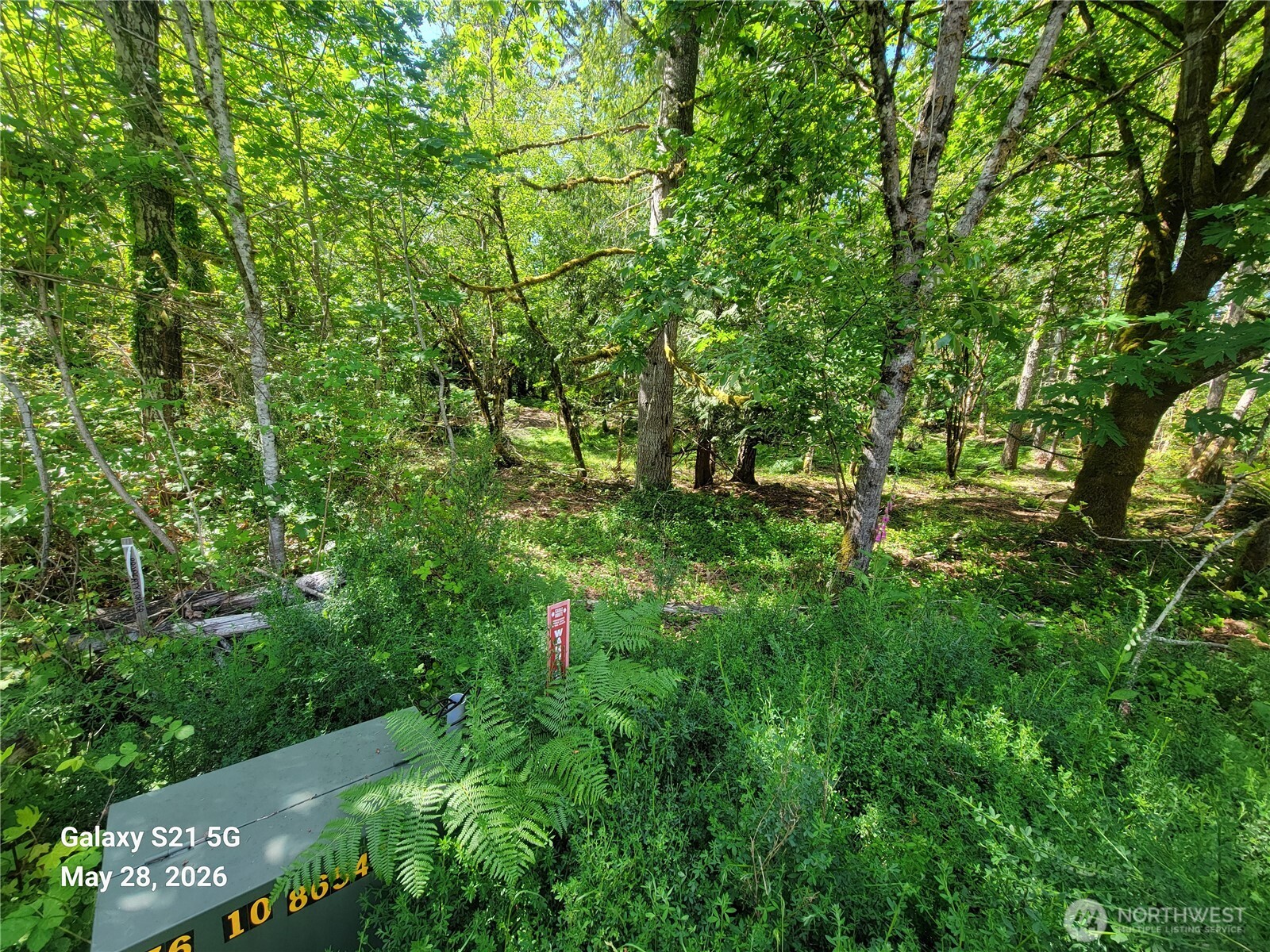 900 East Wilson Way Grapeview, WA 98546 - Photo 26 of 27