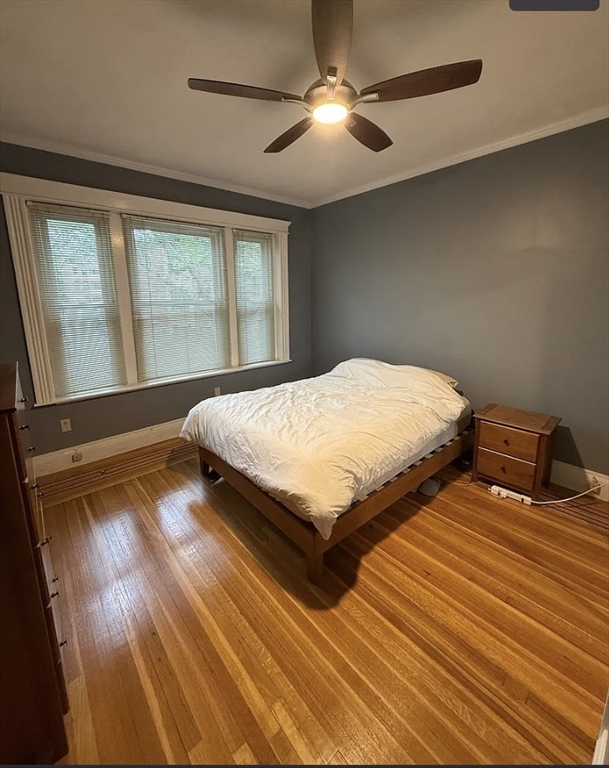 34 Parkman Street, Unit 3 Brookline, MA 02446 - Photo 6 of 12