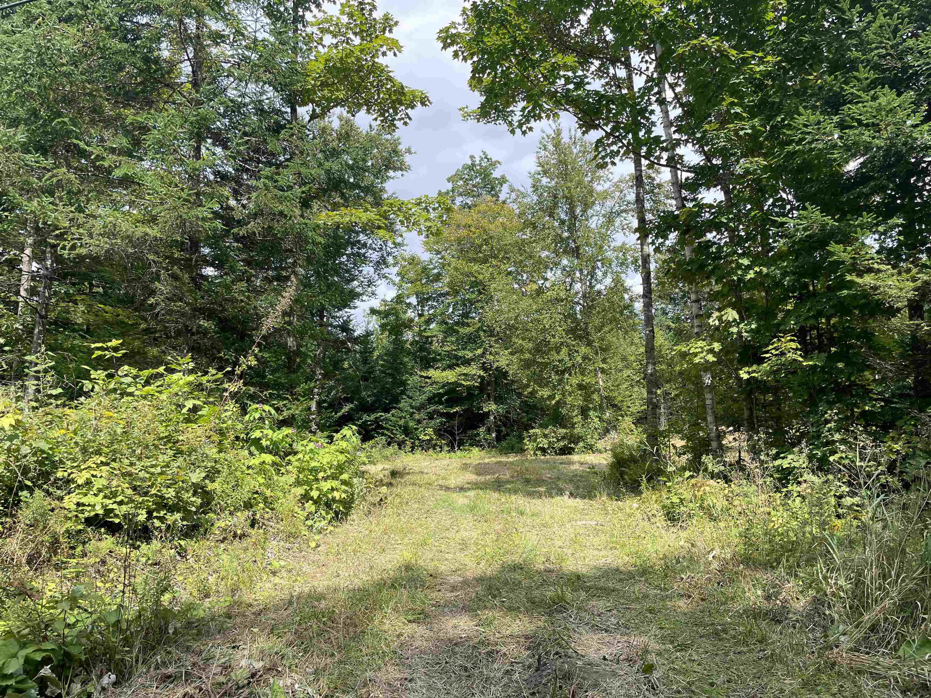2093 East Hill Road Marshfield, VT 05658 - Photo 3 of 12