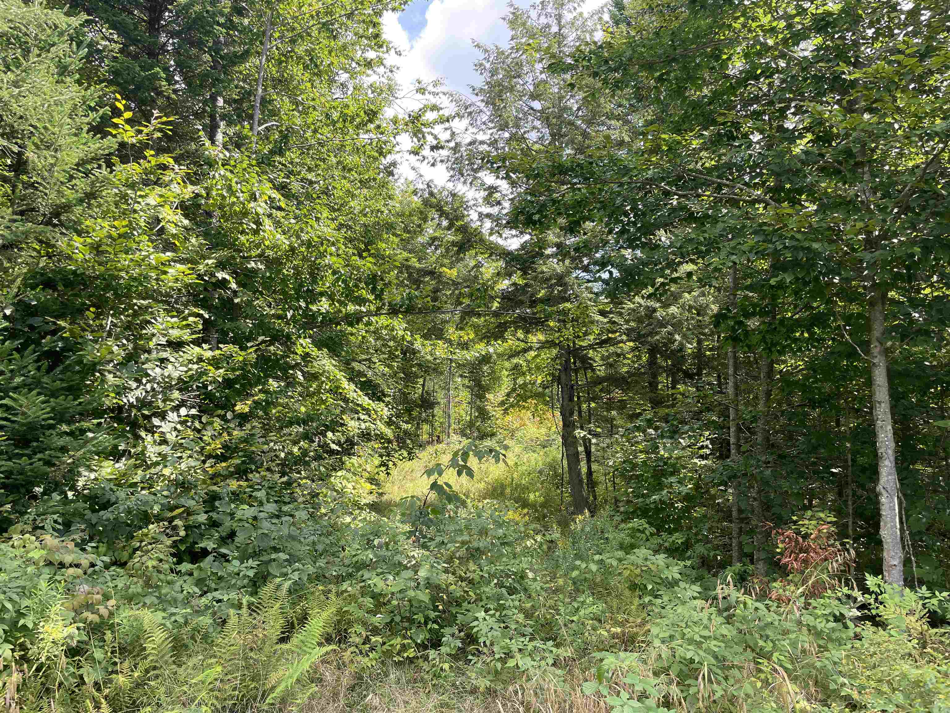 2093 East Hill Road Marshfield, VT 05658 - Photo 5 of 12