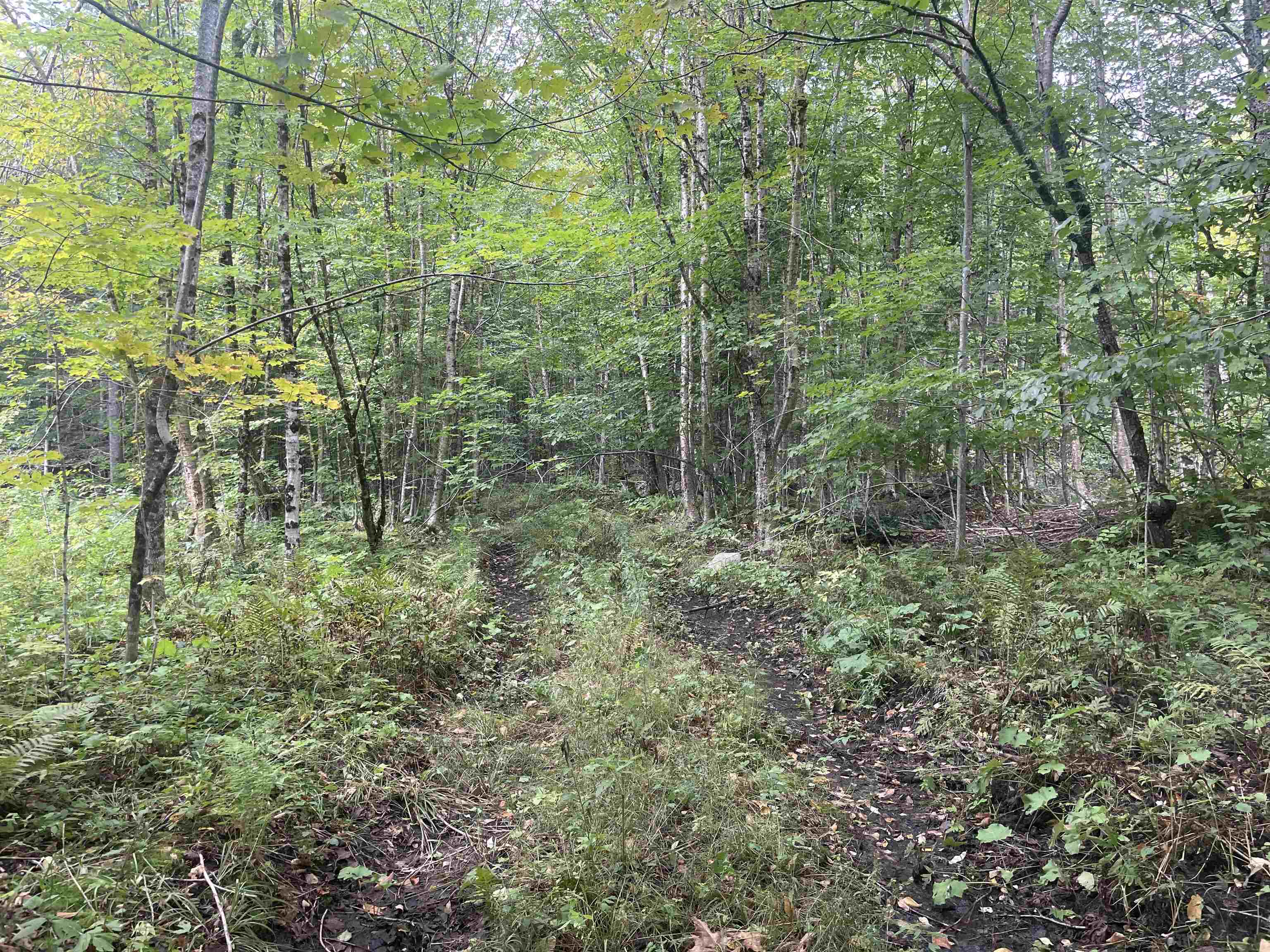 2093 East Hill Road Marshfield, VT 05658 - Photo 7 of 12
