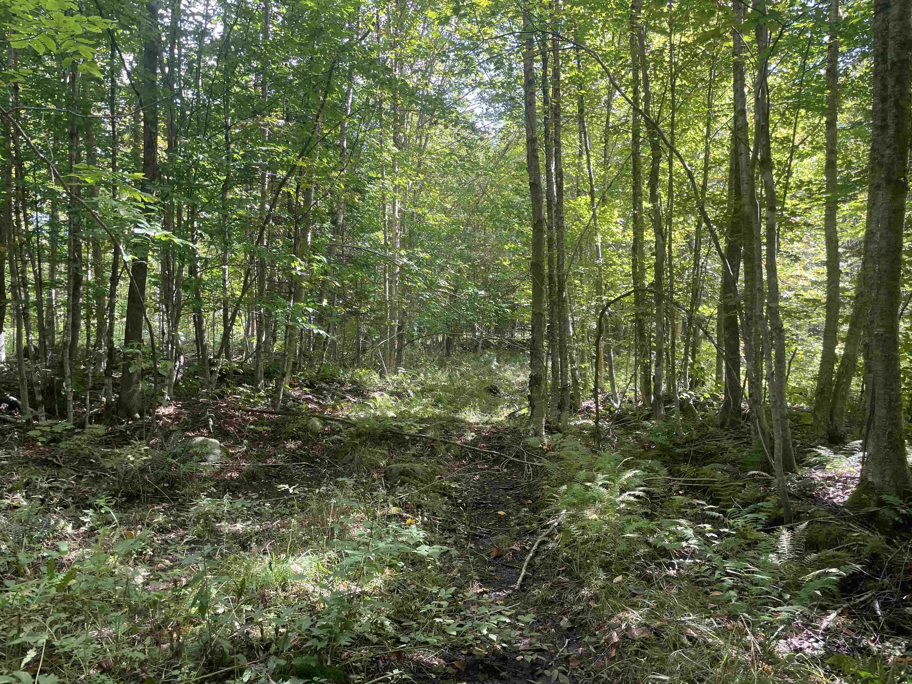 2093 East Hill Road Marshfield, VT 05658 - Photo 8 of 12