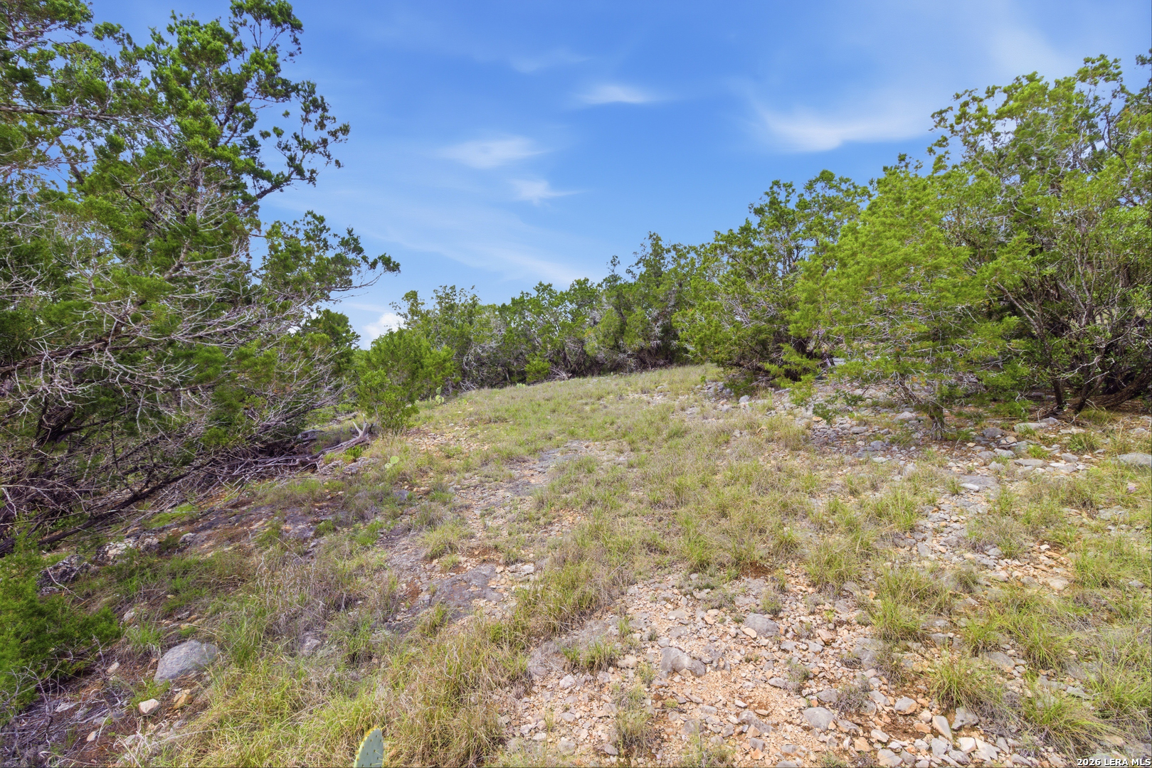 Tbd Coombs Medina, TX 78055 - Photo 18 of 54