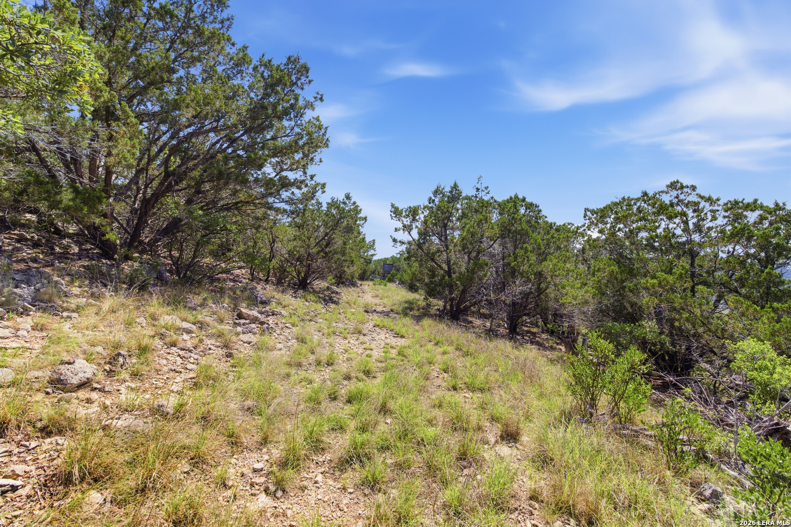 Tbd Coombs Medina, TX 78055 - Photo 26 of 54