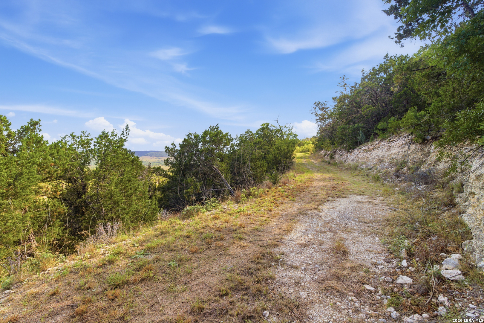 Tbd Coombs Medina, TX 78055 - Photo 30 of 54