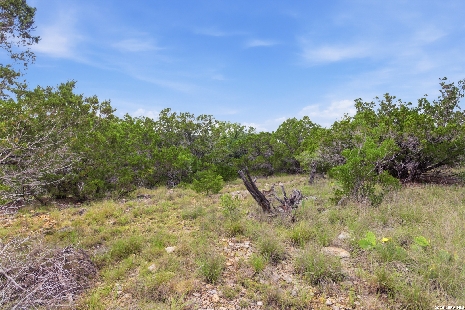 Tbd Coombs Medina, TX 78055 - Photo 32 of 54