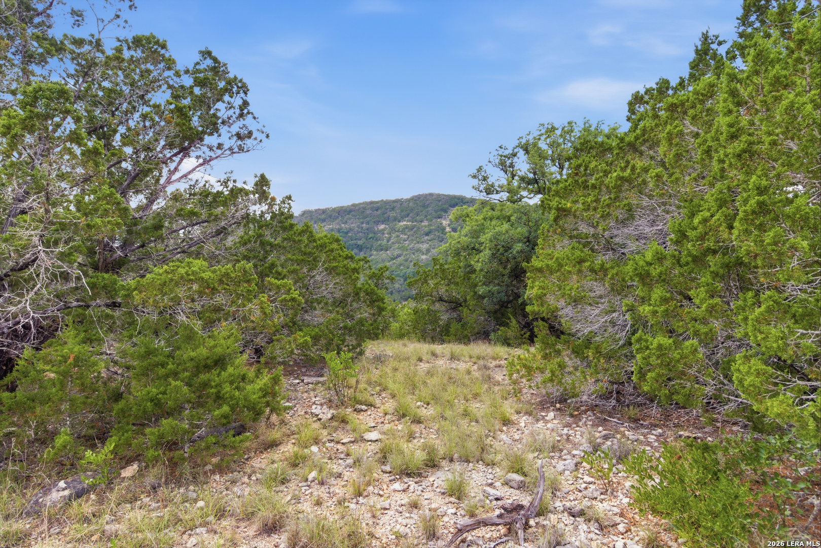 Tbd Coombs Medina, TX 78055 - Photo 33 of 54