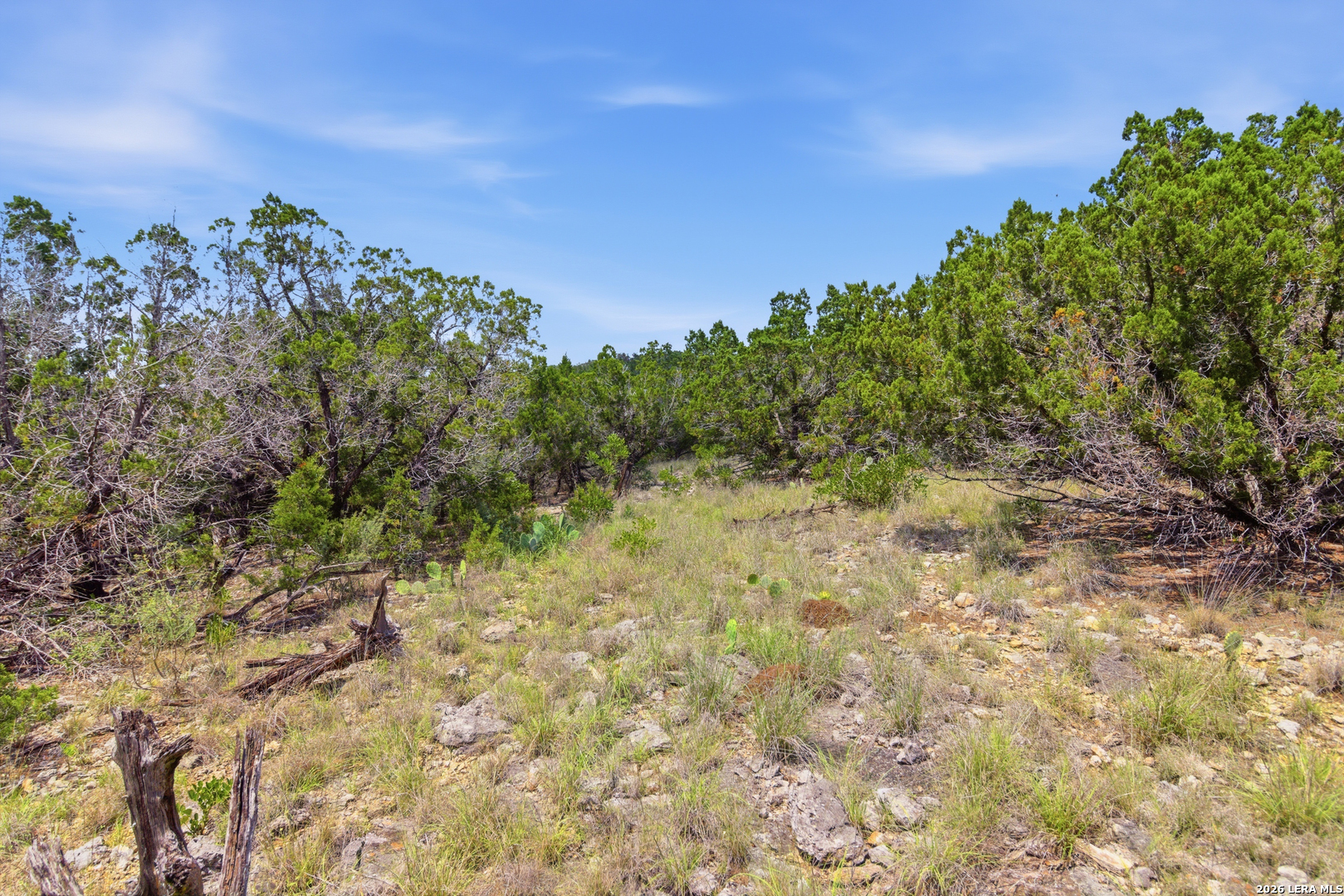 Tbd Coombs Medina, TX 78055 - Photo 34 of 54