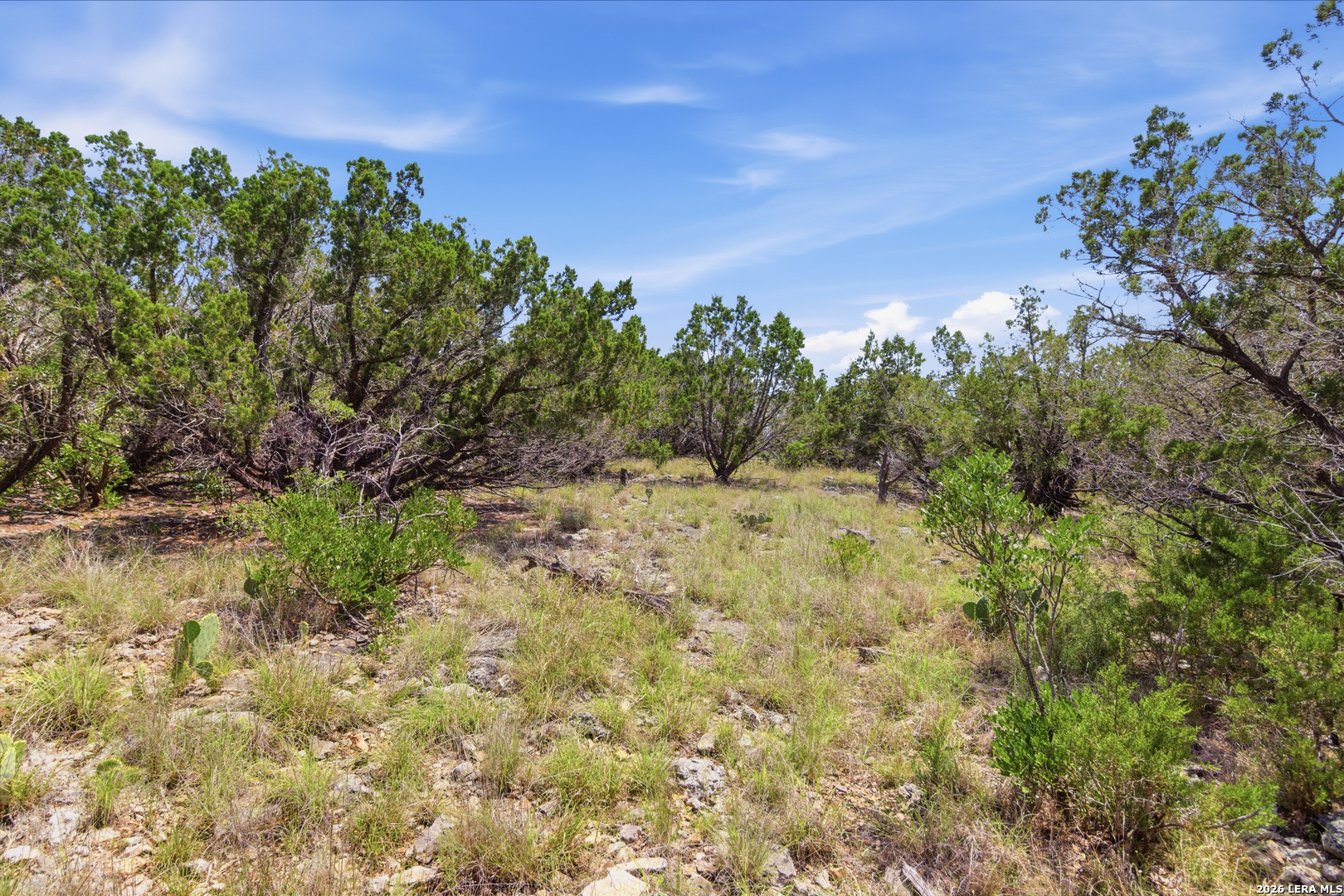 Tbd Coombs Medina, TX 78055 - Photo 36 of 54