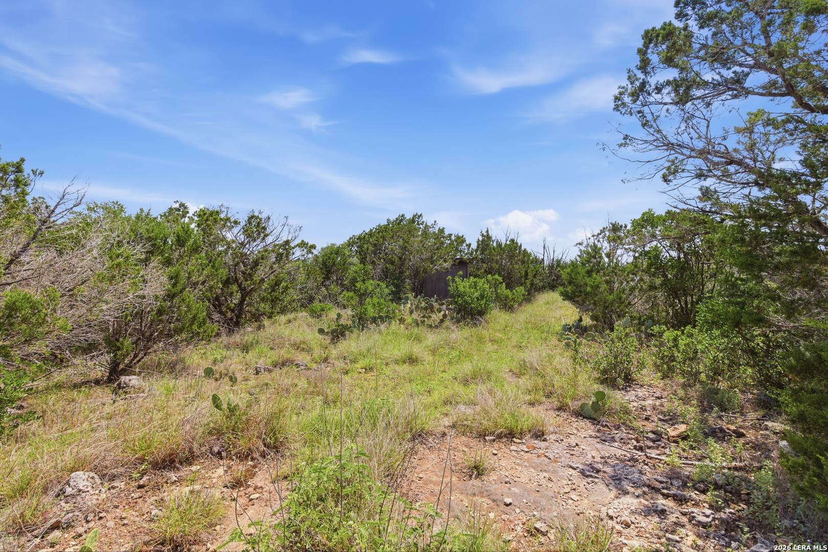 Tbd Coombs Medina, TX 78055 - Photo 38 of 54