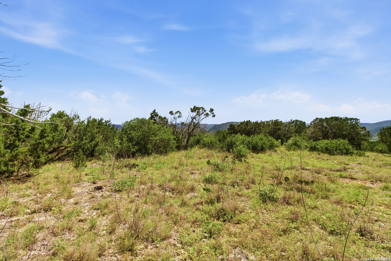 Tbd Coombs Medina, TX 78055 - Photo 39 of 54