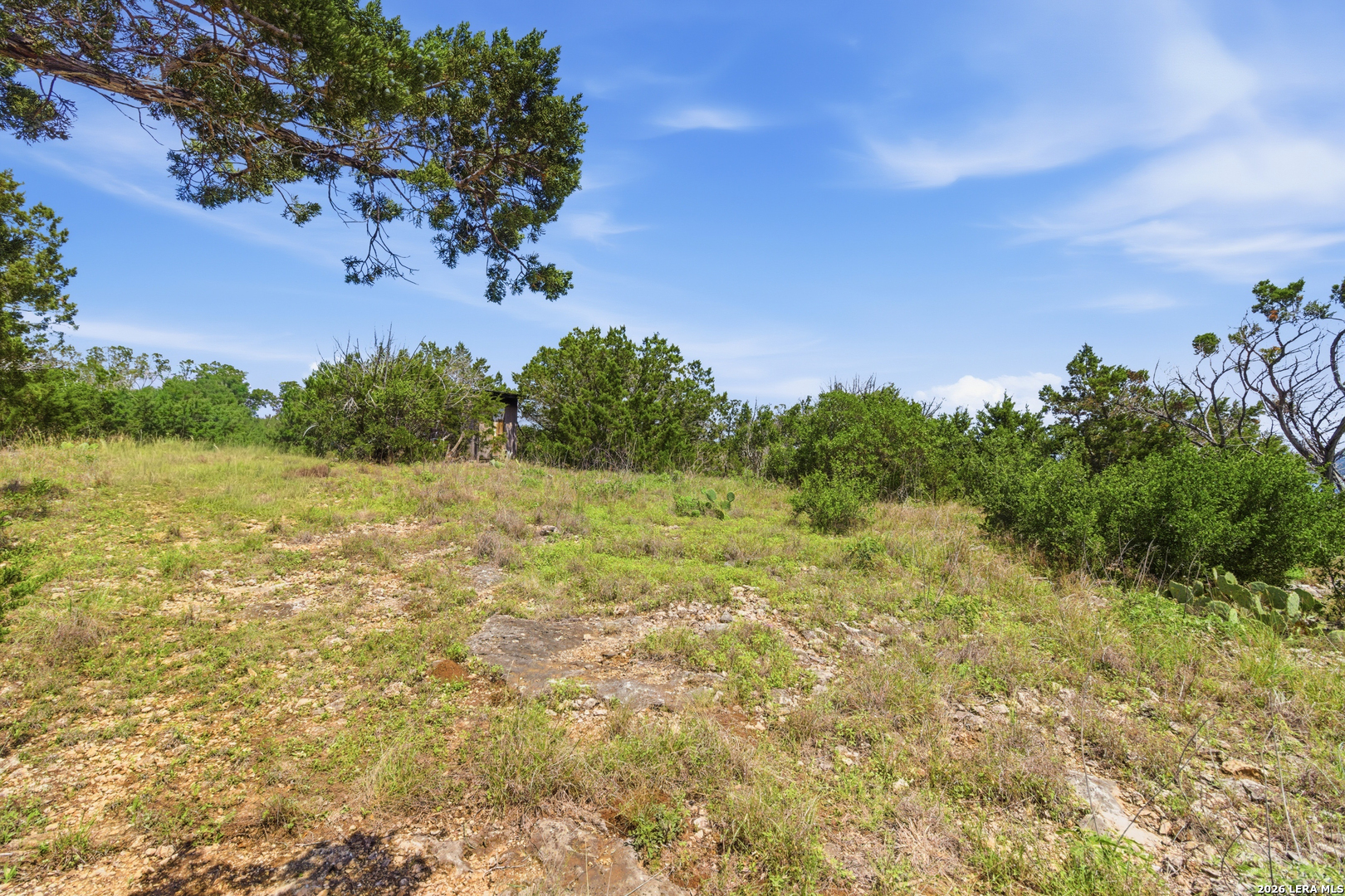Tbd Coombs Medina, TX 78055 - Photo 40 of 54