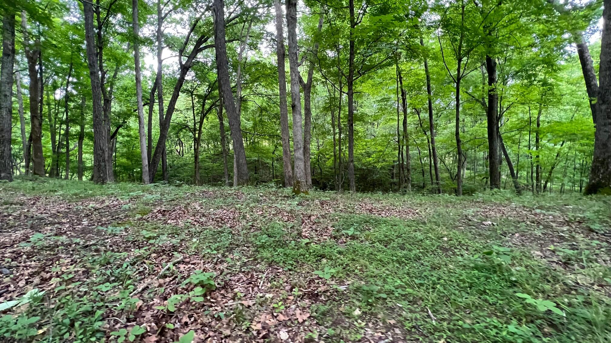 10885 B Napoleon-Zion Station Road Dry Ridge, KY 41035 - Photo 14 of 43