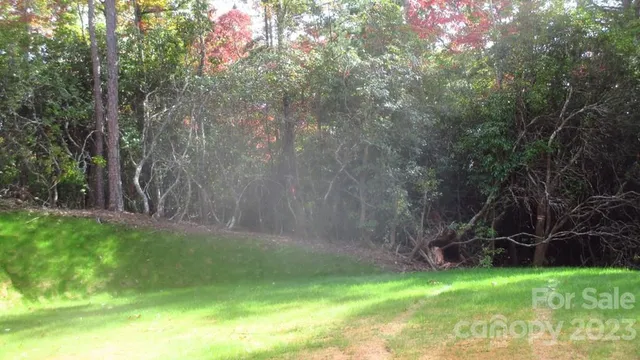 a view of a backyard with large trees