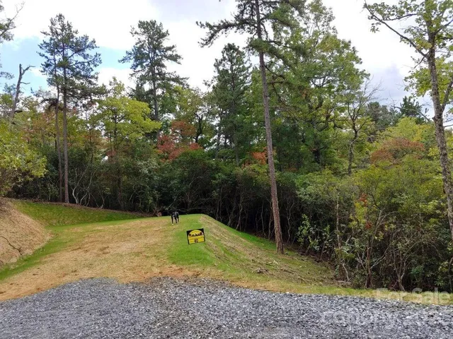 a view of a swimming pool with a yard