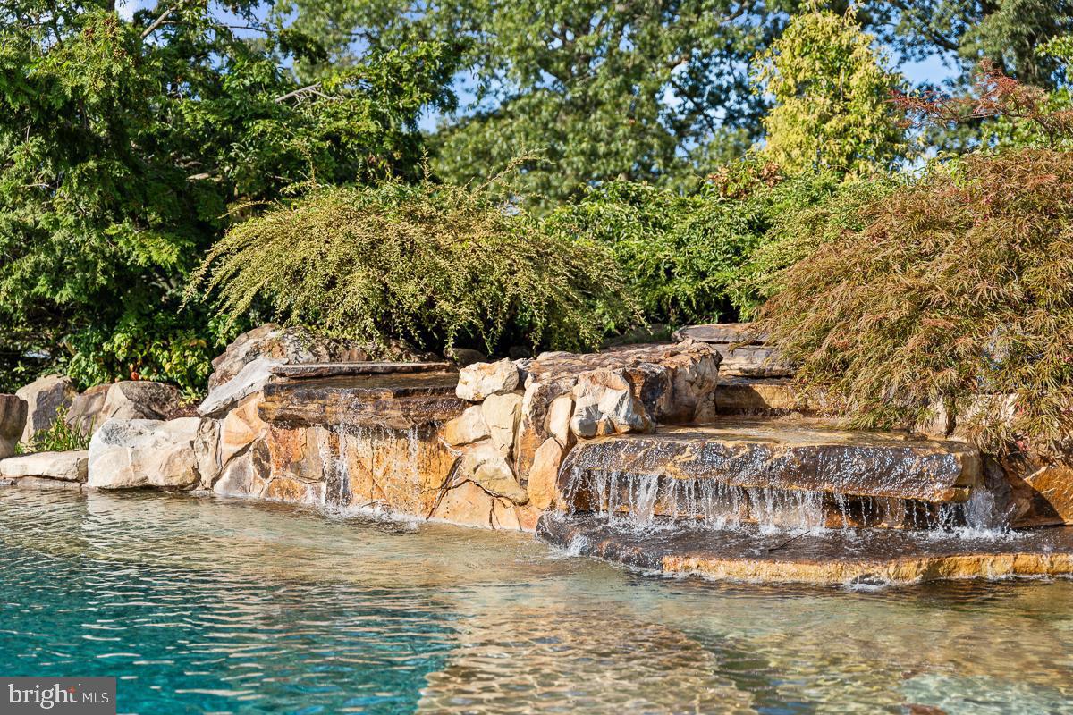 27772 Sharp Road Easton, MD 21601 - Photo 58 of 84 Pool Waterfalls