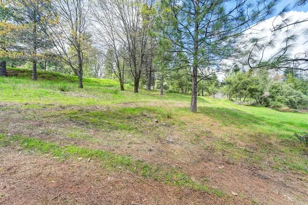 a view of a field with trees in the background