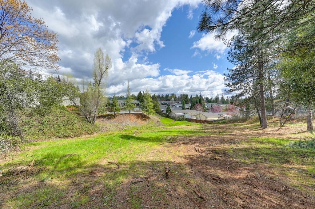 0 Whitcomb Avenue Colfax, CA 95713 - Photo 17 of 32