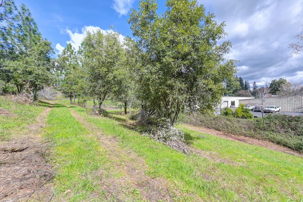 0 Whitcomb Avenue Colfax, CA 95713 - Photo 20 of 32 a view of yard with green space