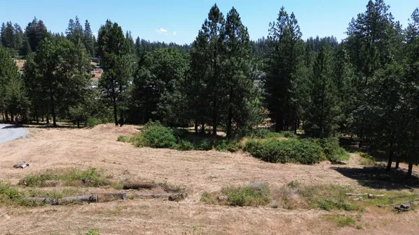 an aerial view of residential house with outdoor space and trees all around