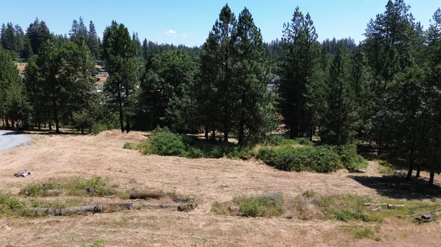 an aerial view of residential house with outdoor space and trees all around