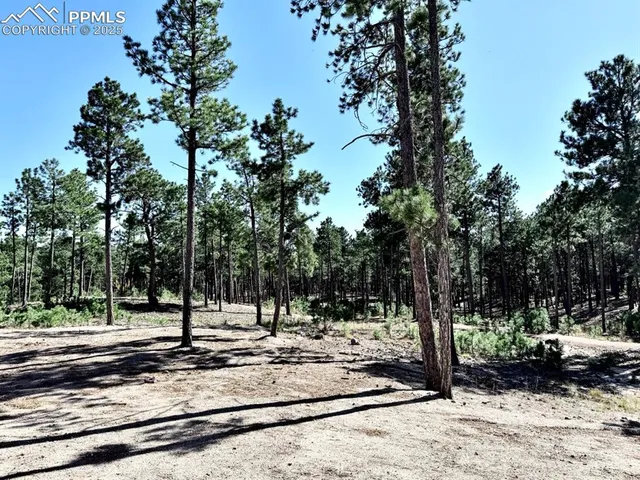 $806,608 | 3135 Promise Point, Colorado Springs, CO 80921