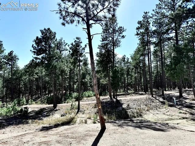 $806,608 | 3135 Promise Point, Colorado Springs, CO 80921