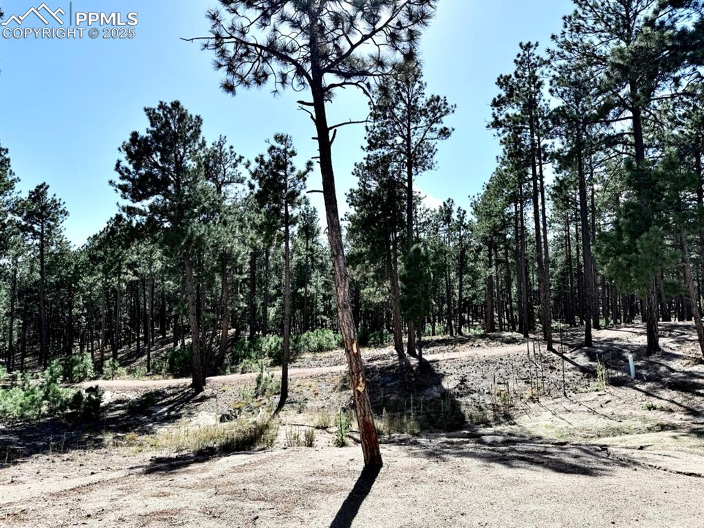 3135 Promise Point Colorado Springs, CO 80921 - Photo 30 of 33 Hiking Trails