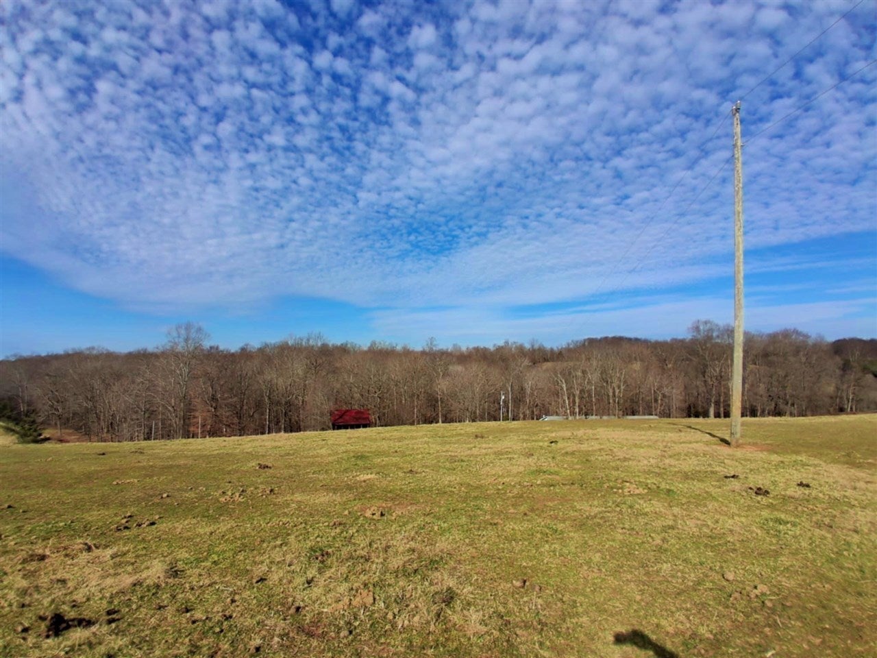 1900 Columbia Road Edmonton, KY 42129 - Photo 59 of 60 Gallery Image 59