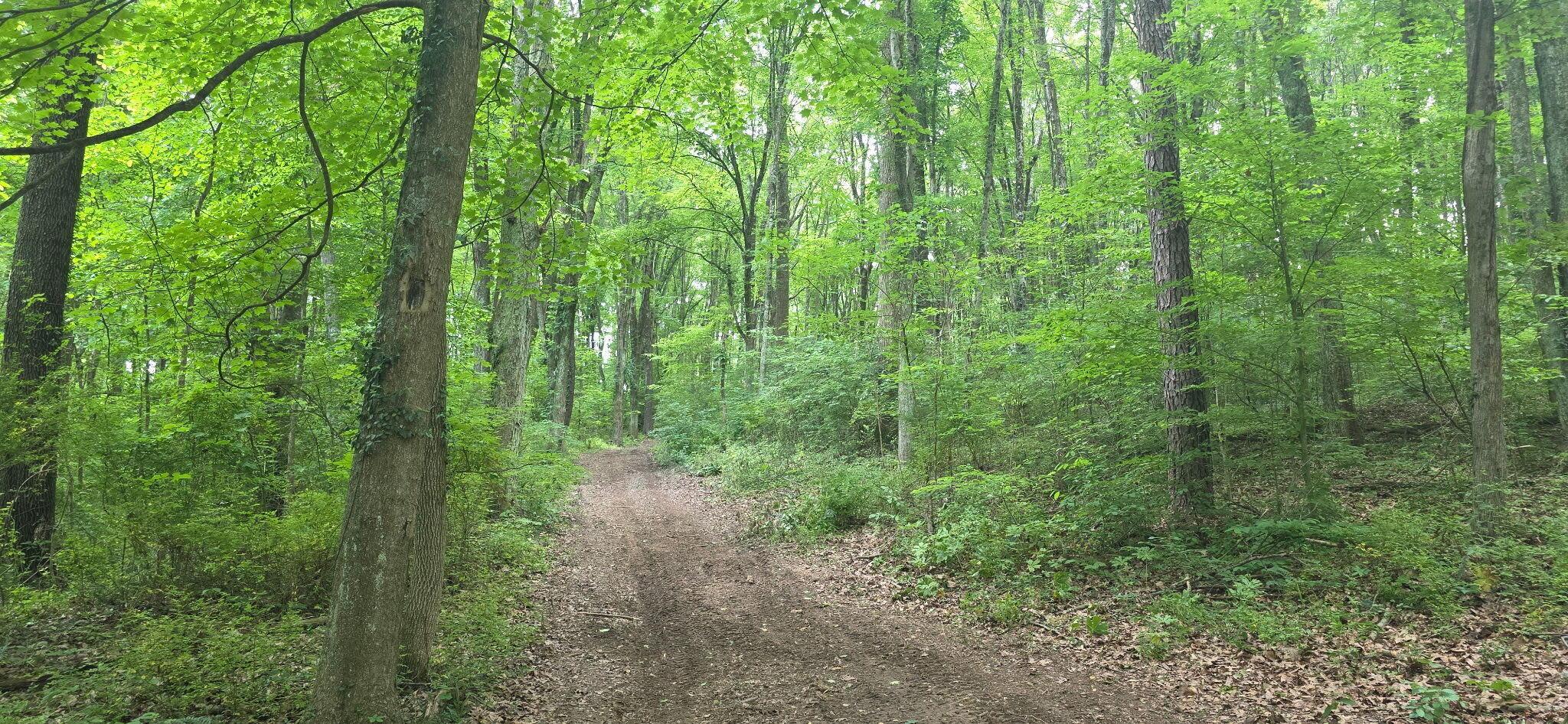 2709 Arter Road Southwest Lancaster, OH 43130 - Photo 14 of 39
