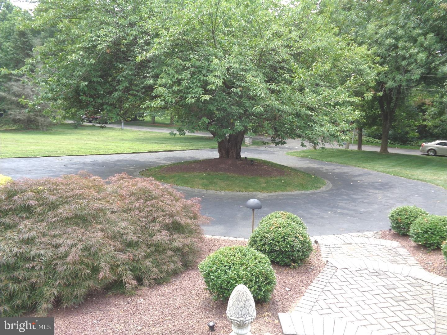 206 Dale Road Westampton, NJ 08060 - Photo 21 of 25 Driveway